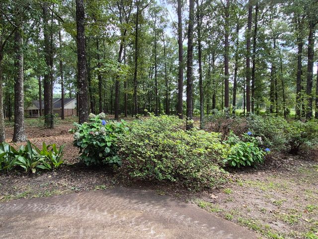 3050 Green View Parkway, Sumter, SC 29150