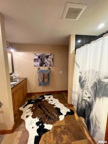 2064 E 2200th Street, Camp Point, IL 62320