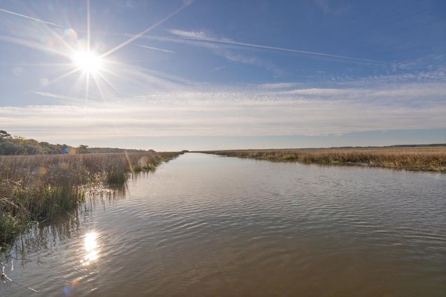 7717 White Point Road, Adams Run, SC 29426