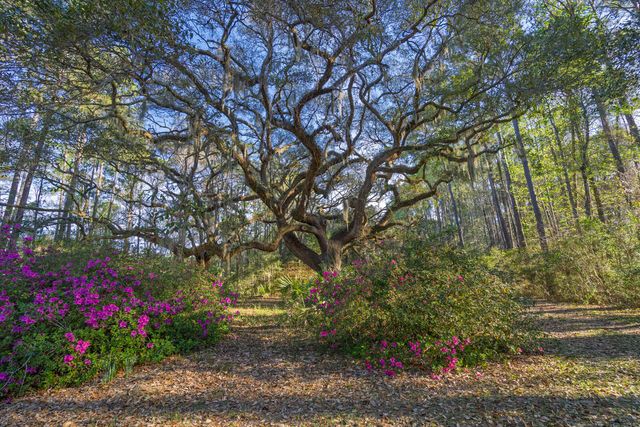 7717 White Point Road, Adams Run, SC 29426