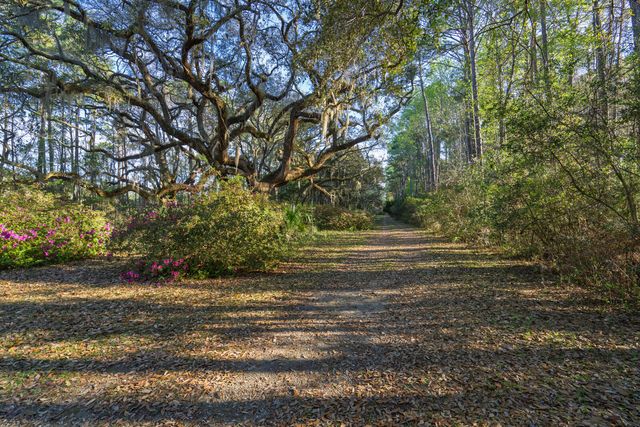 7717 White Point Road, Adams Run, SC 29426