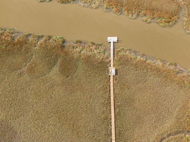 7717 White Point Road, Adams Run, SC 29426