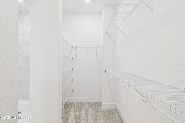 11941 MIRACLE WOODS Way, Jacksonville, FL 32224