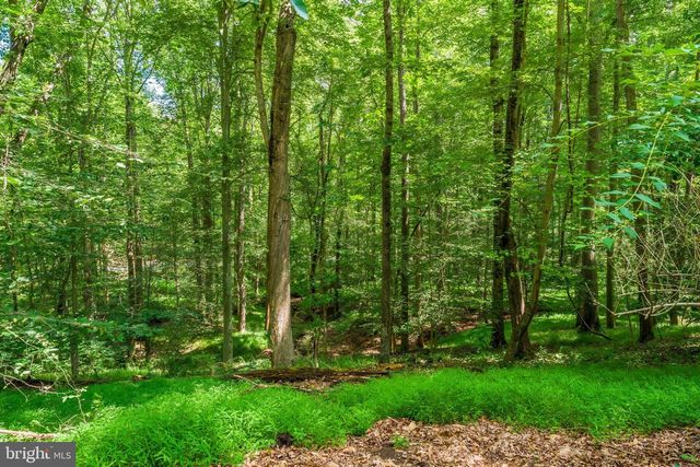 10898 WOODLEAF LN, Great Falls, VA 22066