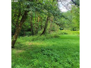 Coal Creek W, Scappoose, OR 97056