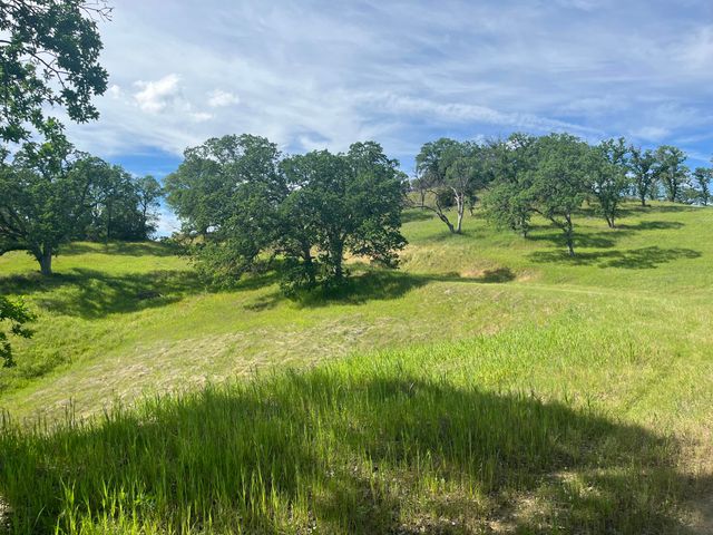 Deer Crest Trail, Cottonwood, CA 96022