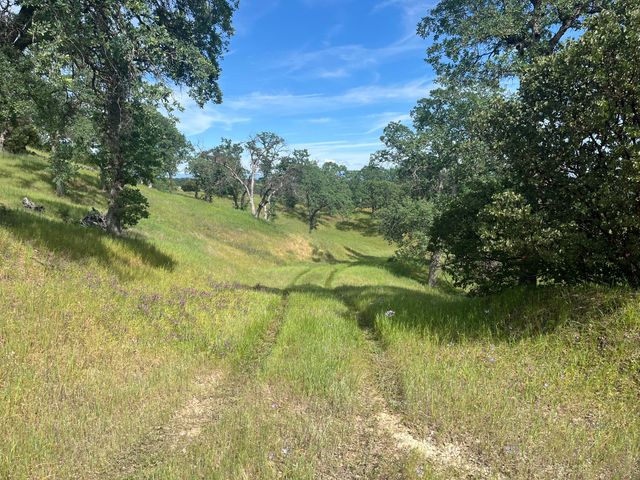 Deer Crest Trail, Cottonwood, CA 96022