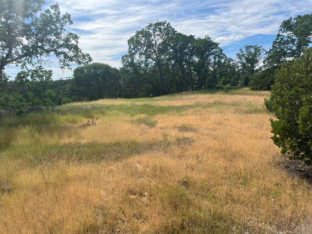 Deer Crest Trail, Cottonwood, CA 96022