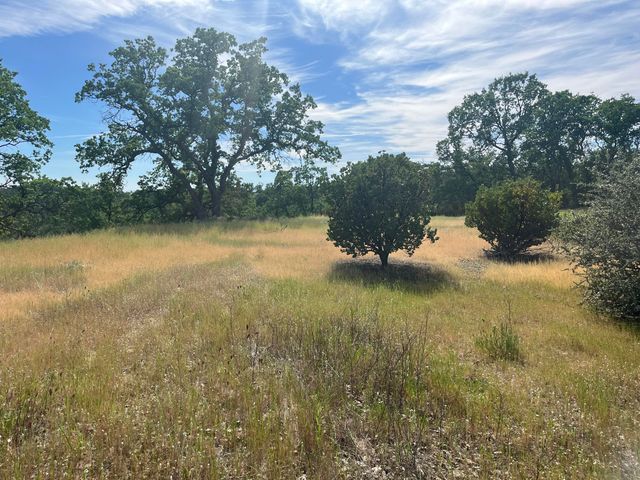 Deer Crest Trail, Cottonwood, CA 96022