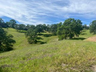 Deer Crest Trail, Cottonwood, CA 96022
