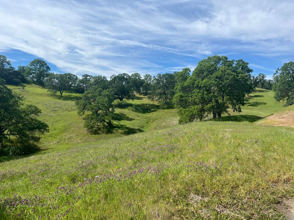 Deer Crest Trail, Cottonwood, CA 96022