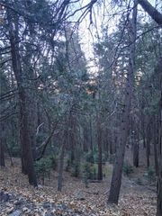 0 Reservoir, Cedarpines Park, CA 92322