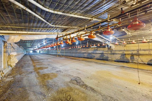 10577 Pleasant Valley Lane, Ola, AR 72853