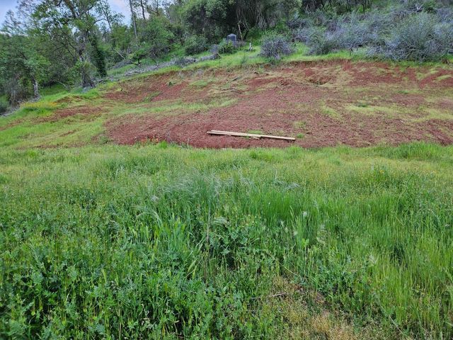 1000 Trimmer Spring Road, Sanger, CA 93657