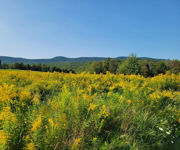 133 Baltimore Road, Springfield, VT 05150