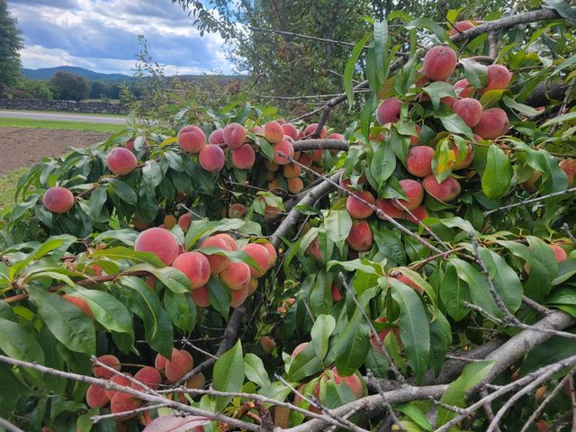 133 Baltimore Road, Springfield, VT 05150
