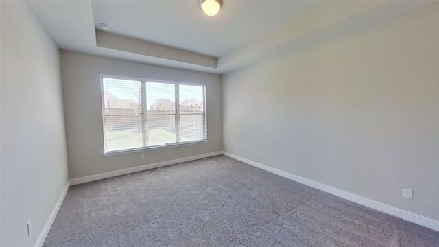 6117 Horsetail Drive, Mckinney, TX 75071