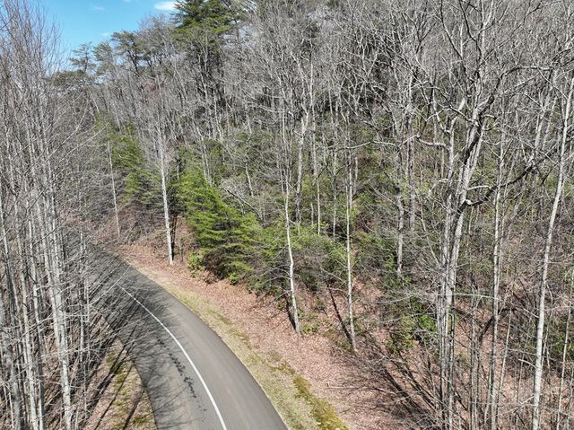 63 St Andrews Way, Ellijay, GA 30536