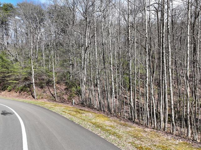 63 St Andrews Way, Ellijay, GA 30536