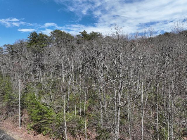 63 St Andrews Way, Ellijay, GA 30536