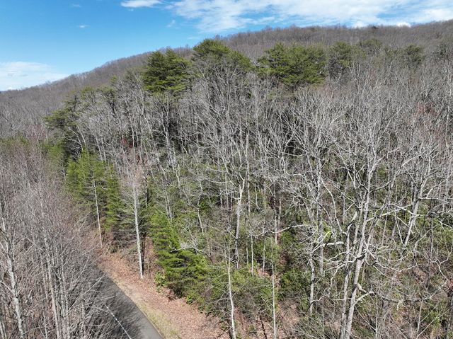 63 St Andrews Way, Ellijay, GA 30536
