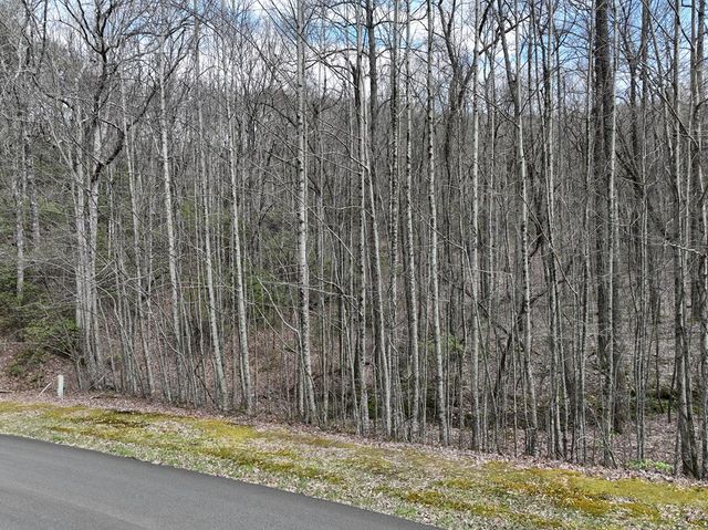 63 St Andrews Way, Ellijay, GA 30536