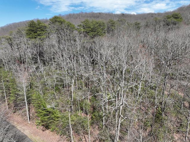 63 St Andrews Way, Ellijay, GA 30536
