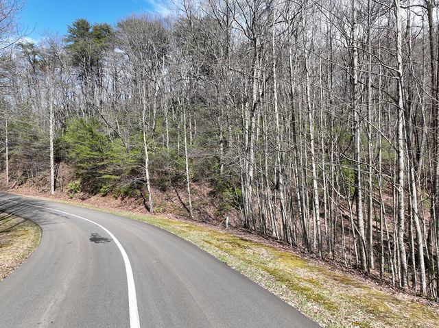 63 St Andrews Way, Ellijay, GA 30536