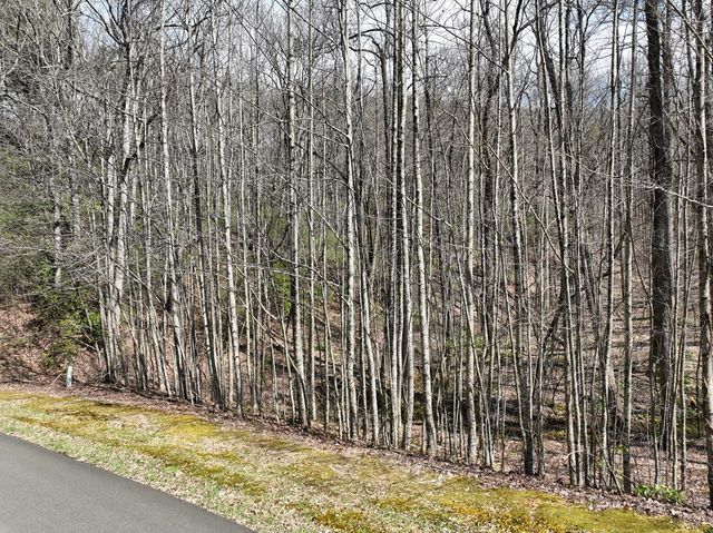 63 St Andrews Way, Ellijay, GA 30536
