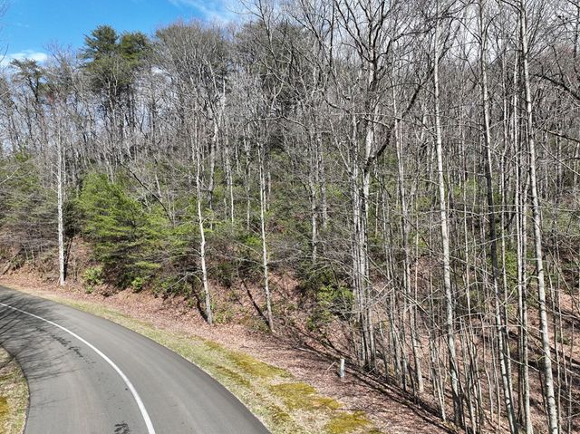 63 St Andrews Way, Ellijay, GA 30536