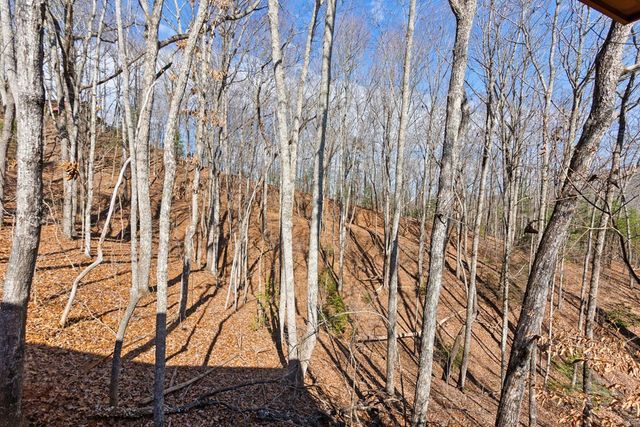 87 Tuscarora Trail, Murphy, NC 28906