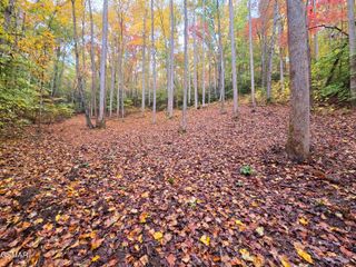 0 Cara Way, Cosby, TN 37722