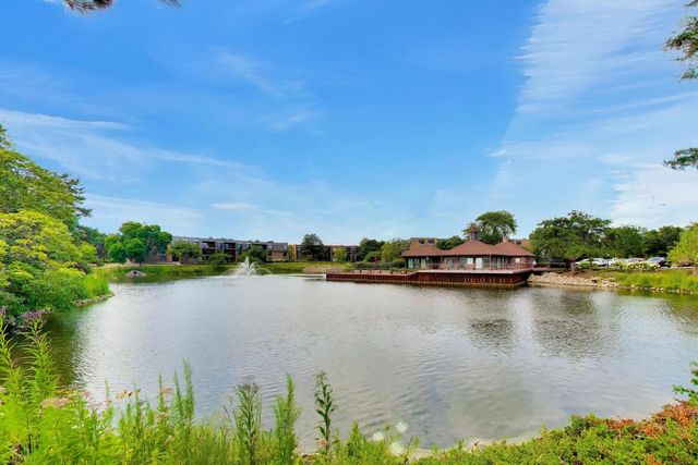 26 The Court Of Island Point, Northbrook, IL 60062