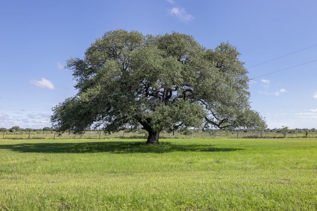 1195 County Road 161, Rock Island, TX 77470