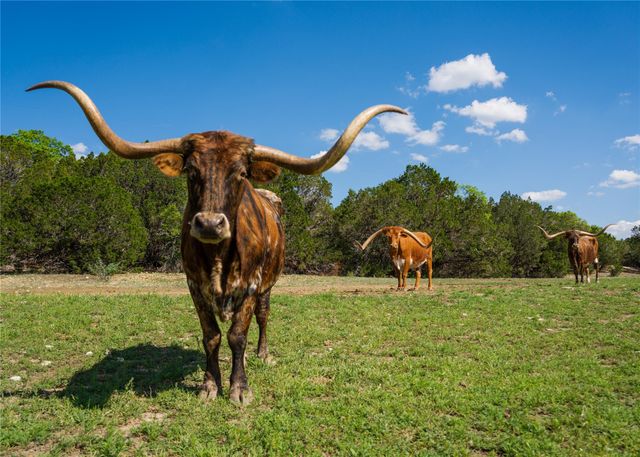 892 Baird Ranch RD, Johnson City, TX 78636