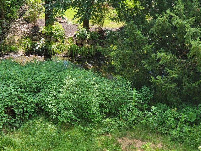 21317 W Shady Lane, Lake Zurich, IL 60047