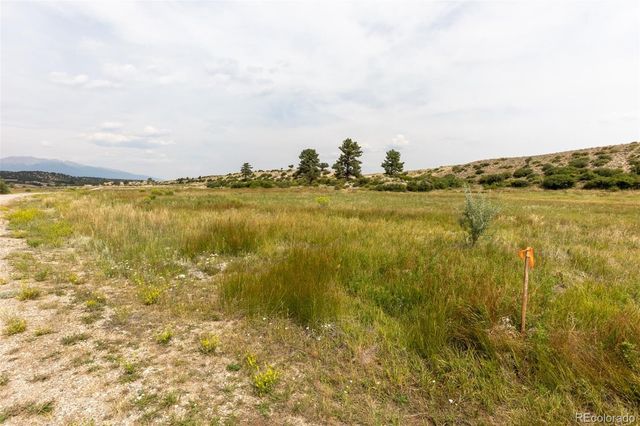 24230 River Rock Lane, Buena Vista, CO 81211