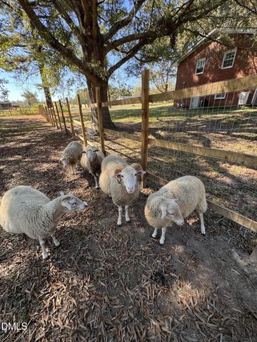 4313-4315 Mitchell Mill Road, Wake Forest, NC 27587