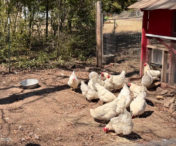 4313-4315 Mitchell Mill Road, Wake Forest, NC 27587