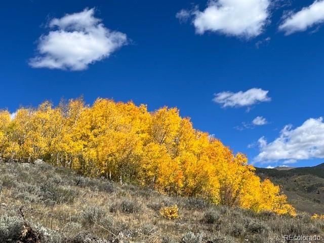 403 J Road, Silverthorne, CO 80498