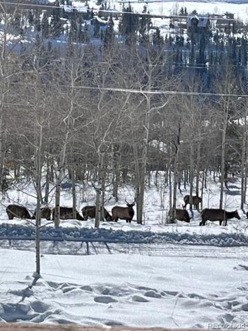 403 J Road, Silverthorne, CO 80498