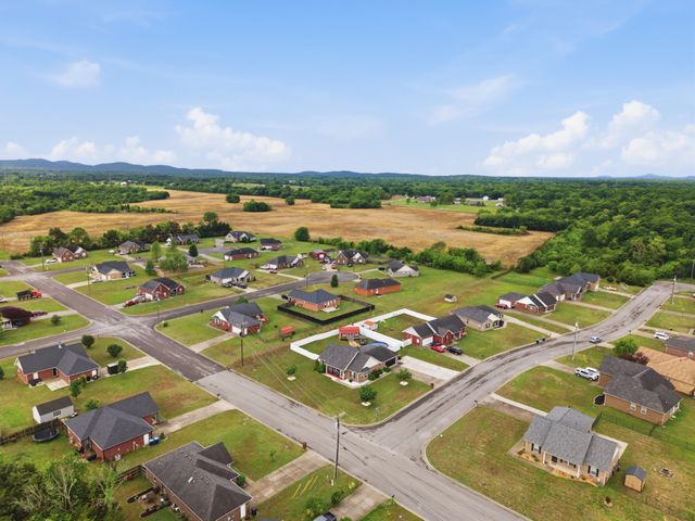 2505 Buzzard Branch Dr, Christiana, TN 37037