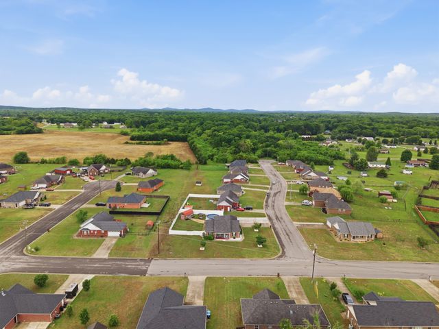 2505 Buzzard Branch Dr, Christiana, TN 37037