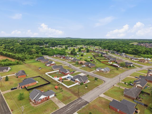 2505 Buzzard Branch Dr, Christiana, TN 37037