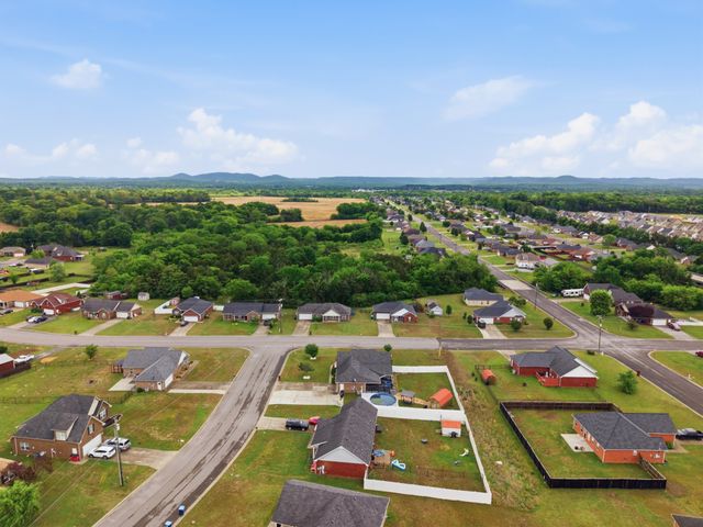 2505 Buzzard Branch Dr, Christiana, TN 37037