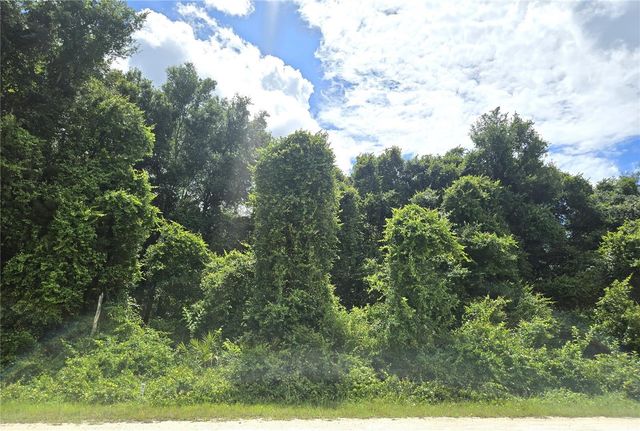ALLOY STREET, Webster, FL 33597