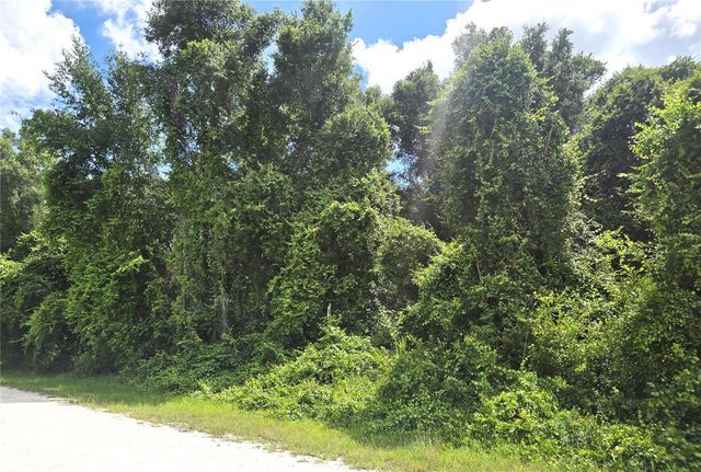 ALLOY STREET, Webster, FL 33597