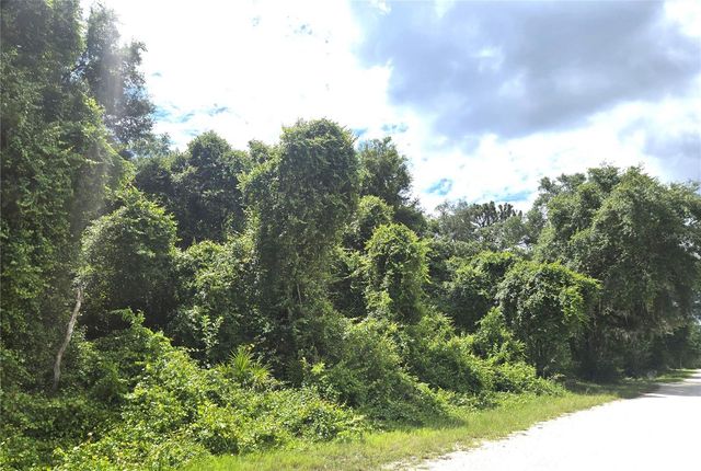 ALLOY STREET, Webster, FL 33597