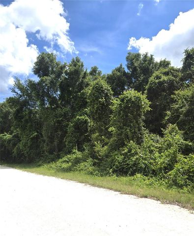 ALLOY STREET, Webster, FL 33597