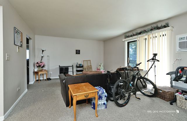 224 E Bailey Road J, Naperville, IL 60565